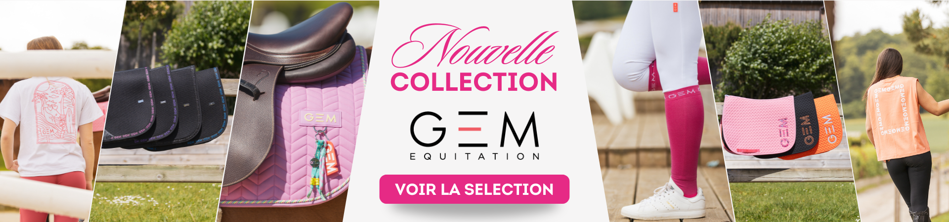 DeskFR GEM Nouvelle co 